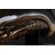 Alien 3 Replica 1/1 Dog Alien Head 40 cm